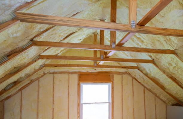 Best Blown-in Insulation in Tsaile, AZ